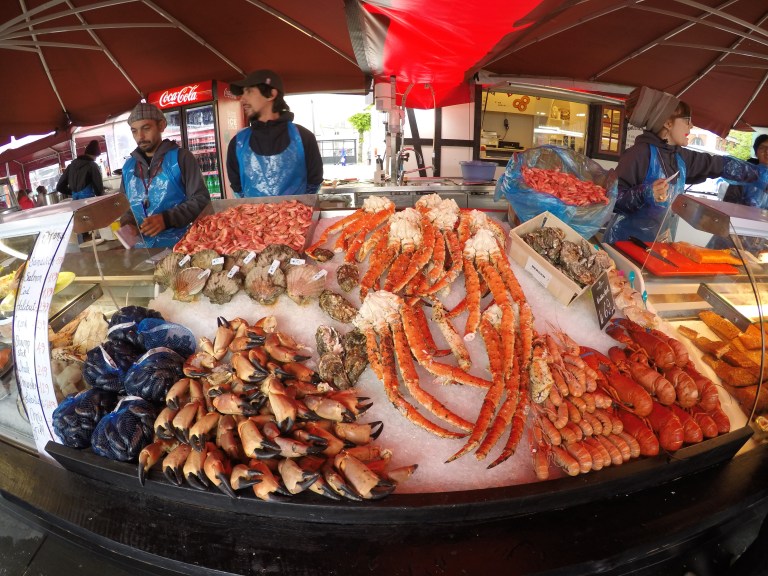 DCIM101GOPROGOPR2591.