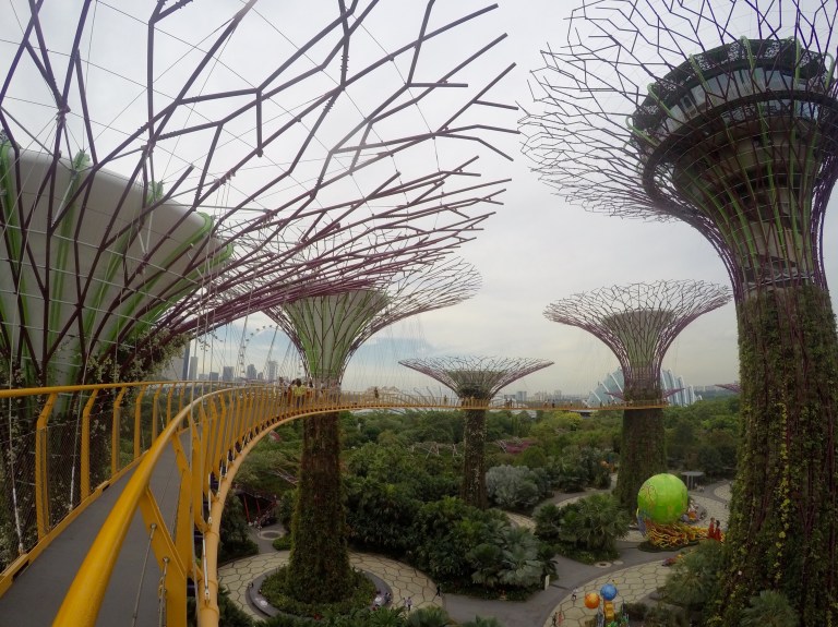 DCIM104GOPROGOPR8776.