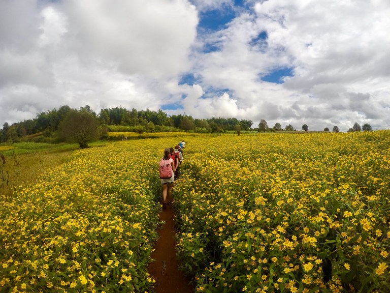 DCIM107GOPROGOPR2076.