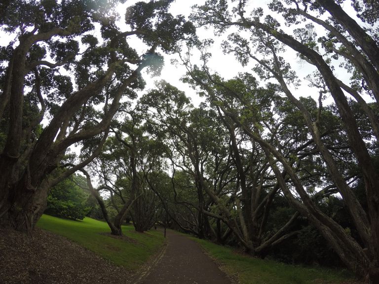 auckland-2016-christie-lee