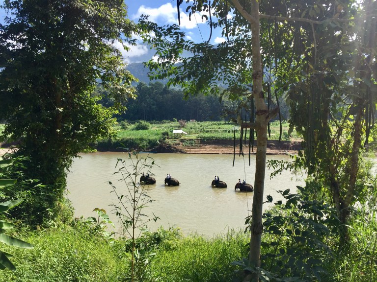 elephant-village-2016-christie-lee