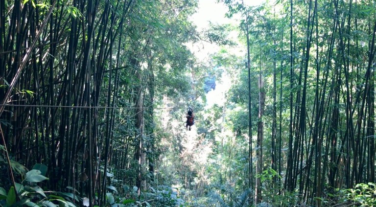 gibbon-experience-zip-2016-christie-lee