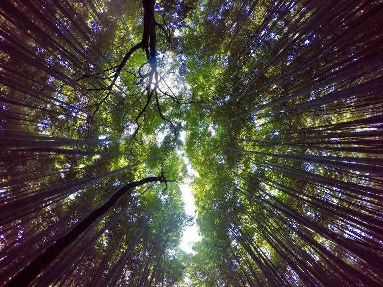 DCIM106GOPROGOPR0647.