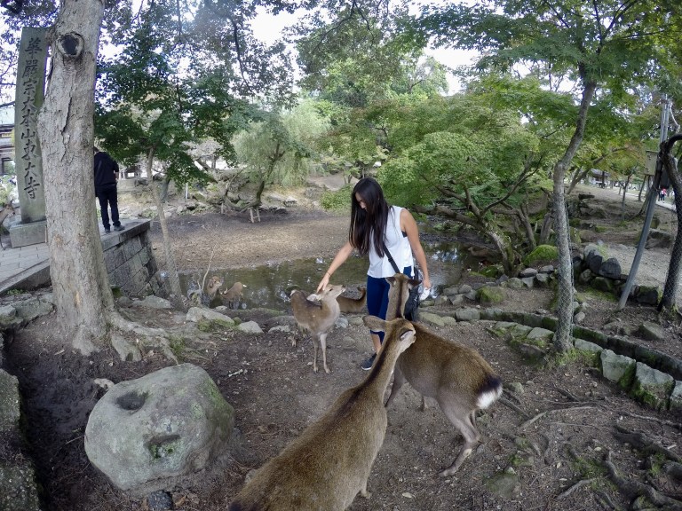 DCIM106GOPROGOPR0797.