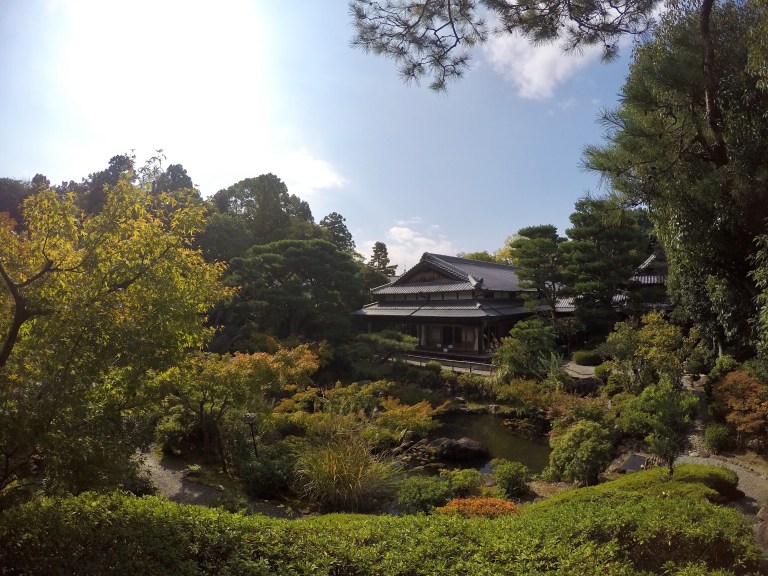 DCIM106GOPROGOPR0738.