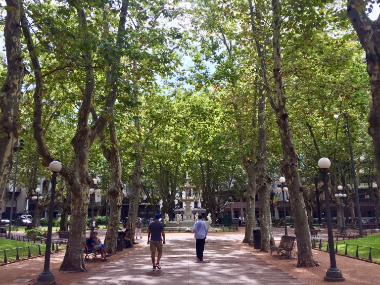 montevideo-christie-lee-2017