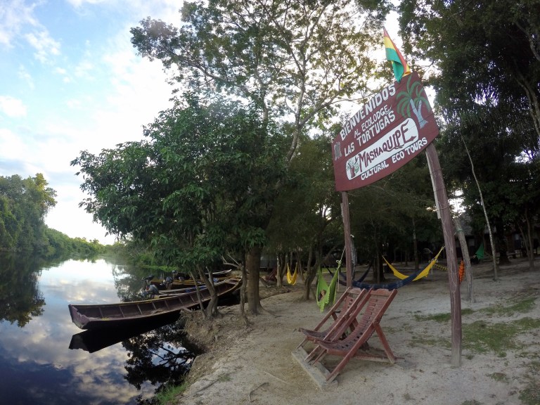 Mashaquipe - 2017 Christie Lee