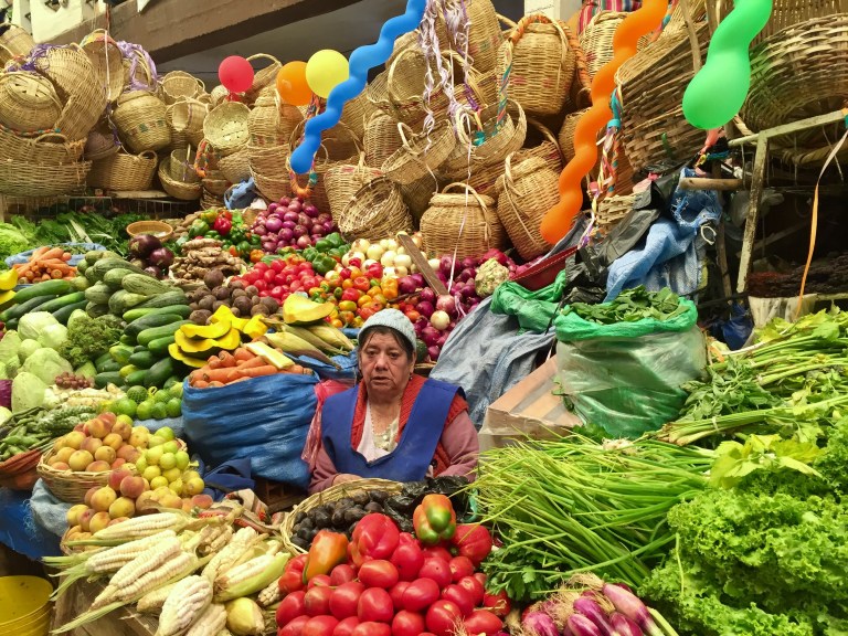 Sucre Market - 2017 Christie Lee