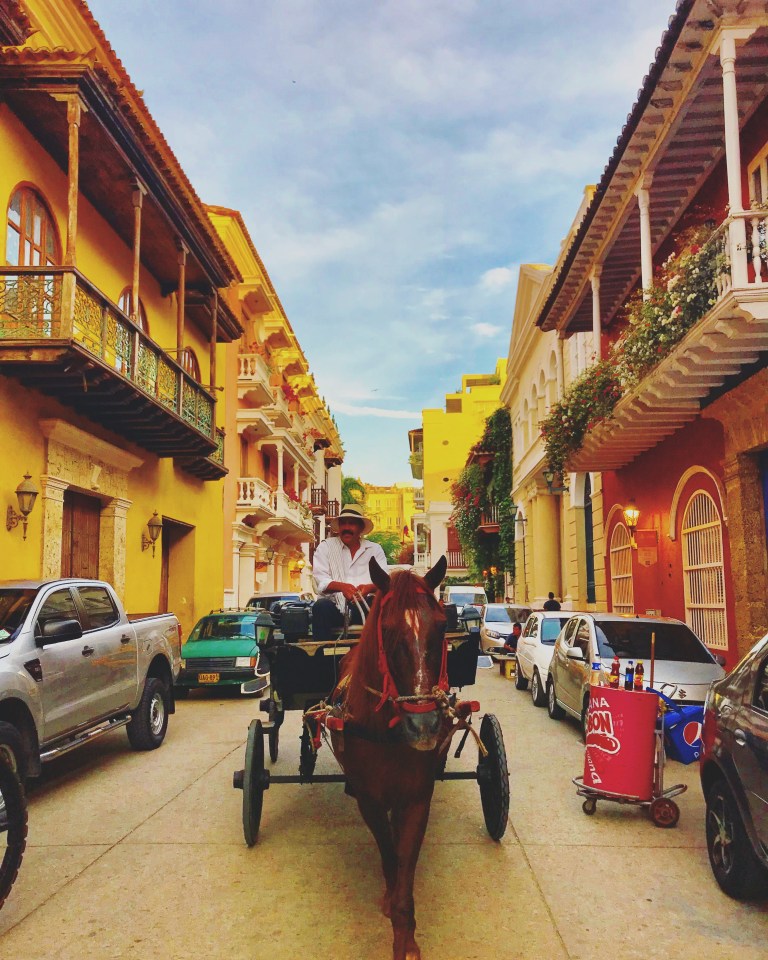 2017 Christie Lee - Cartagena Horse Carriage