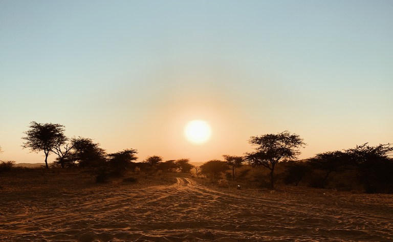 Processed with VSCO with a4 preset