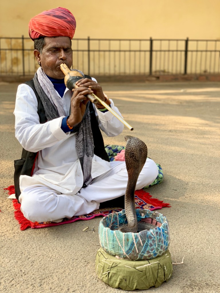 snake charmer - 2018 christie lee