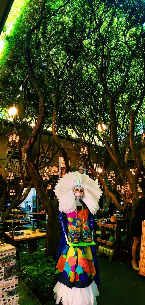 Processed with VSCO with c1 preset