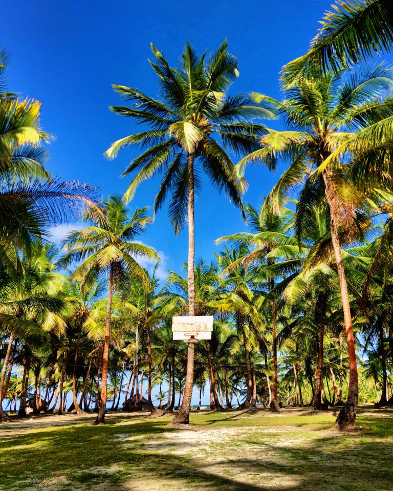 Demar Archu Island 2019 Christie Lee